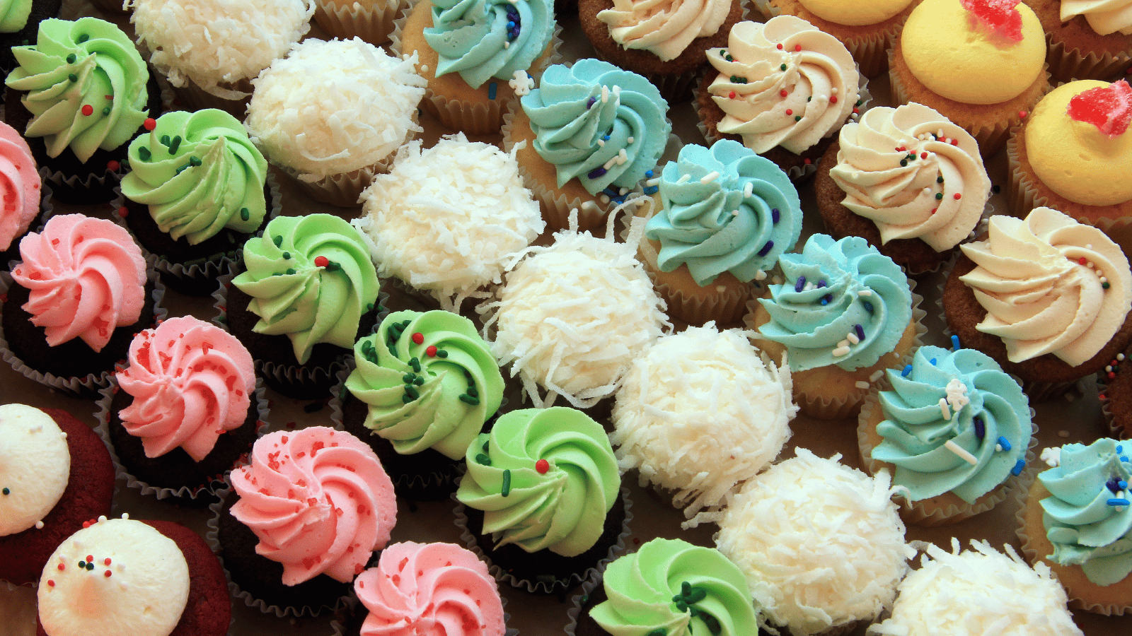 Mini cupcakes are lined up. Each row has a unique frosting or topping in different colors.