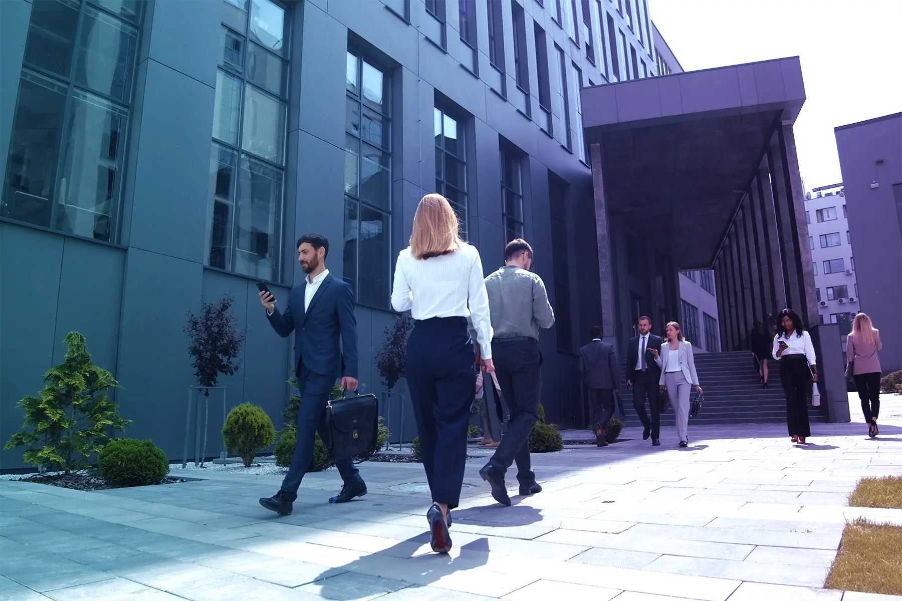 CINE Corporate Campus